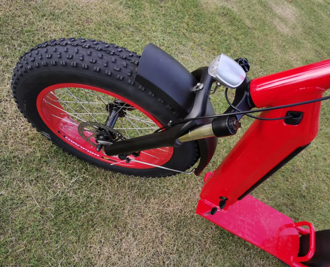 CE Certificate Fat Tire E Scooter off Road Adult Electric Scooter 500W