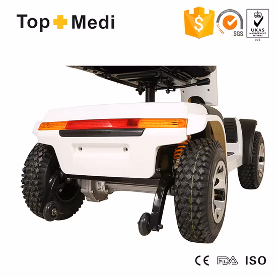 600-W-차동모터 60km 3-Rad-Elektromobil